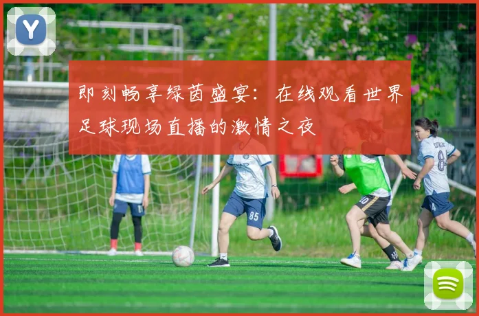 即刻畅享绿茵盛宴：在线观看世界足球现场直播的激情之夜
