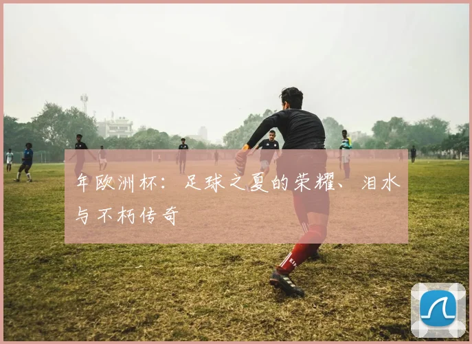 年欧洲杯:足球之夏的荣耀、泪水与不朽传奇