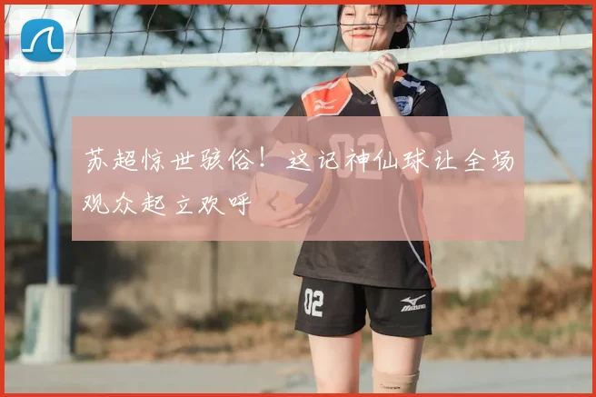 苏超惊世骇俗！这记神仙球让全场观众起立欢呼