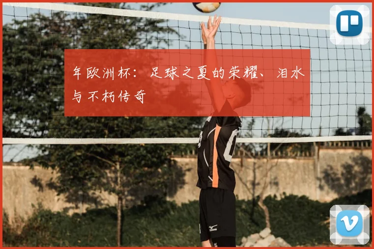 年欧洲杯：足球之夏的荣耀、泪水与不朽传奇
