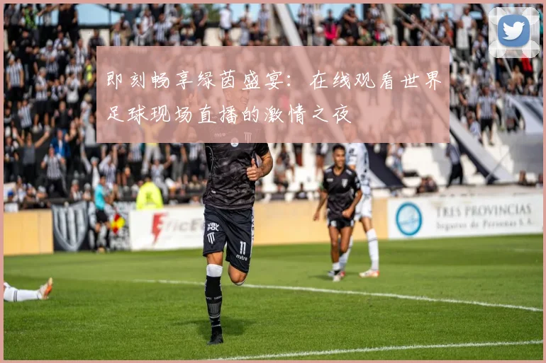 即刻畅享绿茵盛宴:在线观看世界足球现场直播的激情之夜